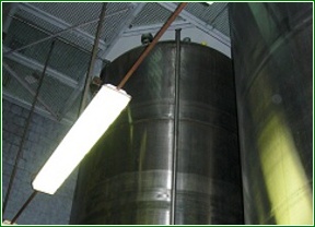 Foto produktu - 
FX61_pivo_02.jpg