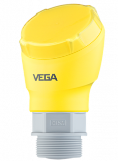 VEGAPULS 21